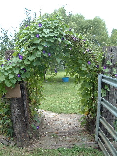 orchard gate